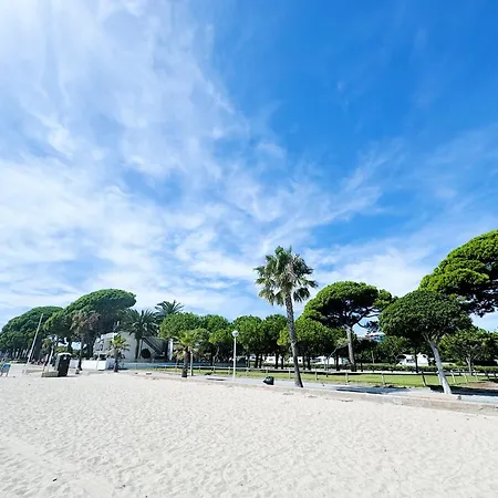 Harmony By The Sea *
