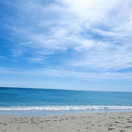 Harmony By The Sea
